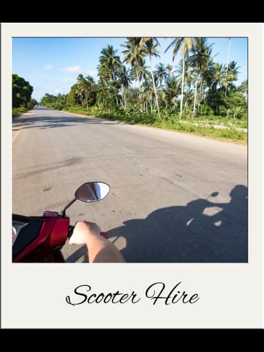Scooter Rental